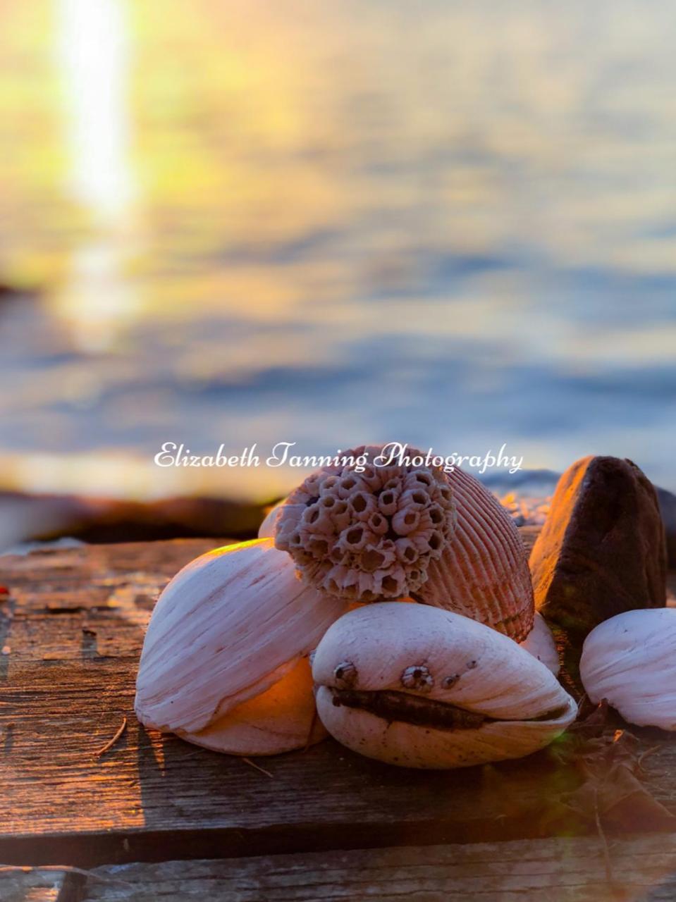 Camano Sea Mist Waterfront B&B מראה חיצוני תמונה